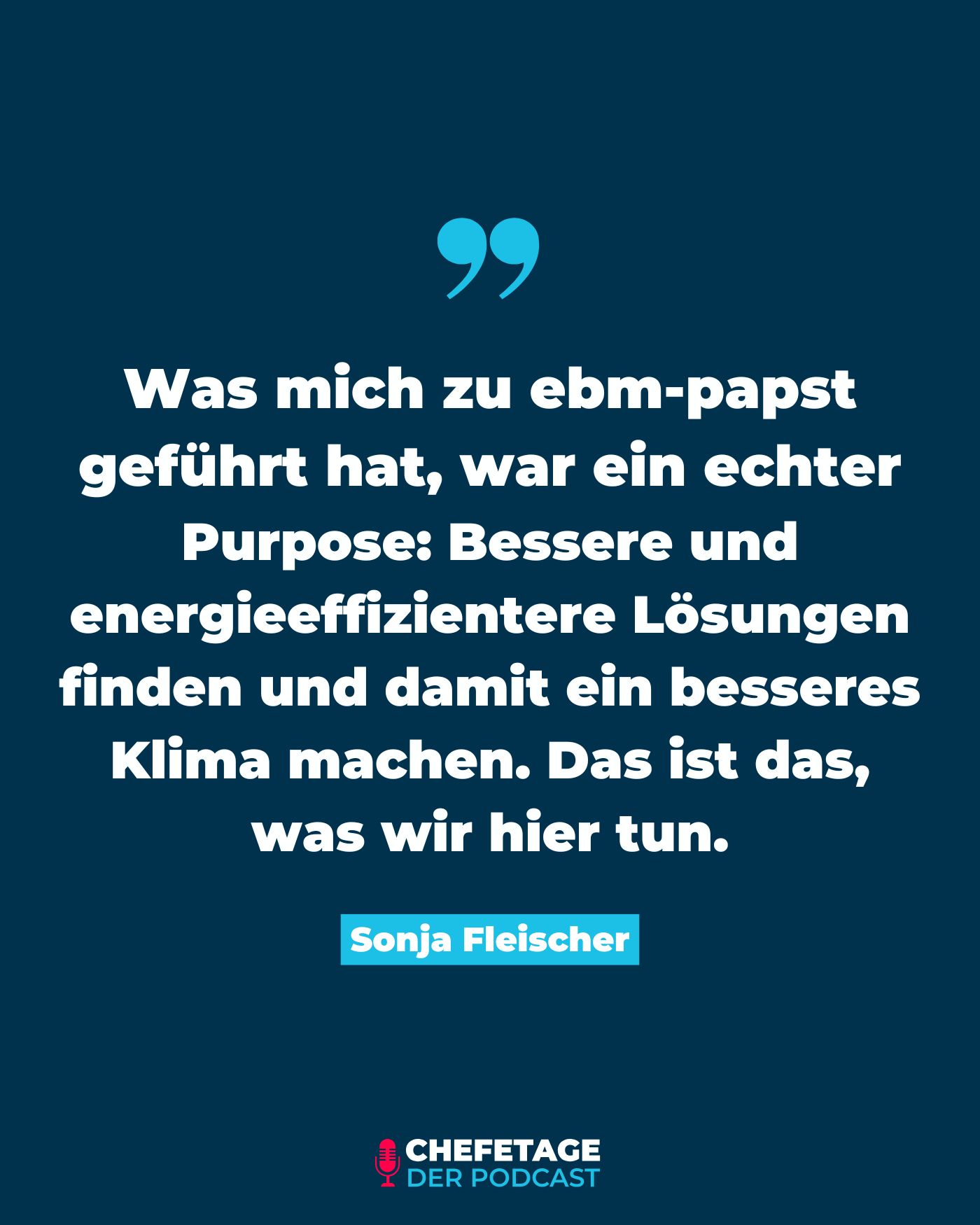 Dr. Sonja Fleische - CHRO ebm-papst - Zitate aus dem Podcast Chefetage