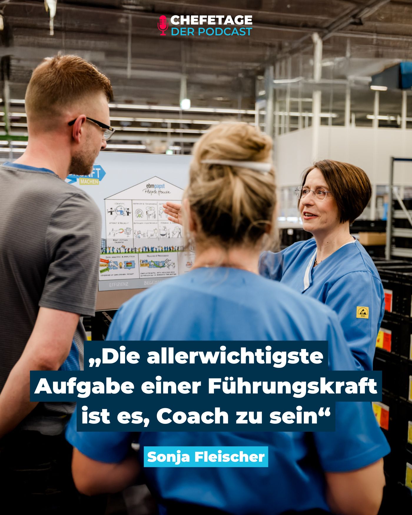 Dr. Sonja Fleische - CHRO ebm-papst - Zitate aus dem Podcast Chefetage