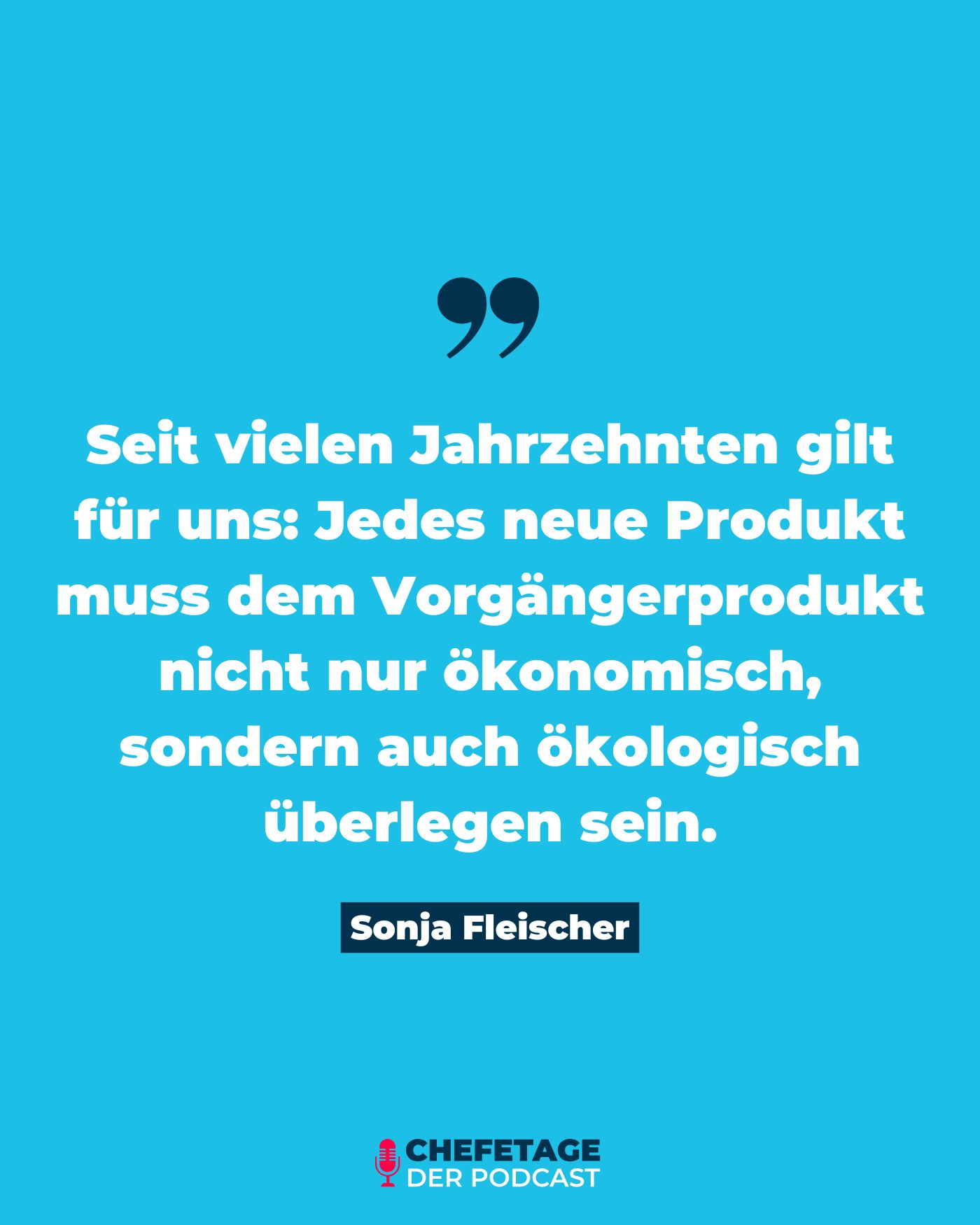 Dr. Sonja Fleische - CHRO ebm-papst - Zitate aus dem Podcast Chefetage