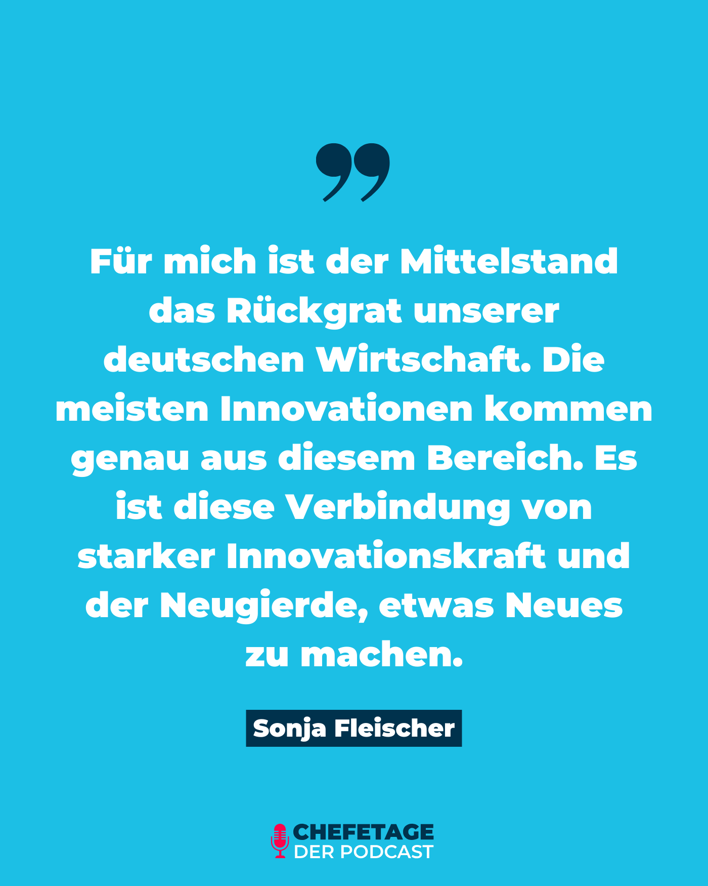 Dr. Sonja Fleische - CHRO ebm-papst - Zitate aus dem Podcast Chefetage